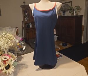 Sincerely Jules Navy Dress with Red Accents